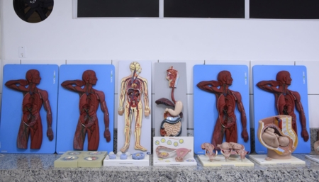 Laboratório de Anatomia I