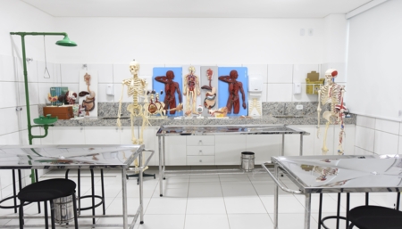 Laboratório de Anatomia II